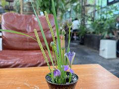 -北马山庄植趣咖啡