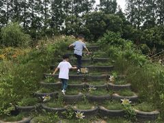 -前小桔亲子创意农场·草莓采摘·露营烧烤