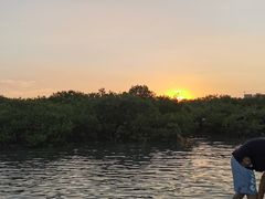 -北海金海湾红树林生态旅游区