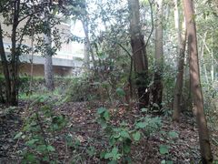 -湘鄂赣边区鄂东南革命烈士陵园