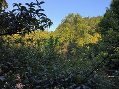 -故乡缘·香格里拉山庄(冷竹路店)
