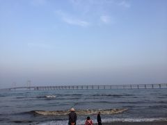 -海味当家·蒸锅海鲜(星海公园店)