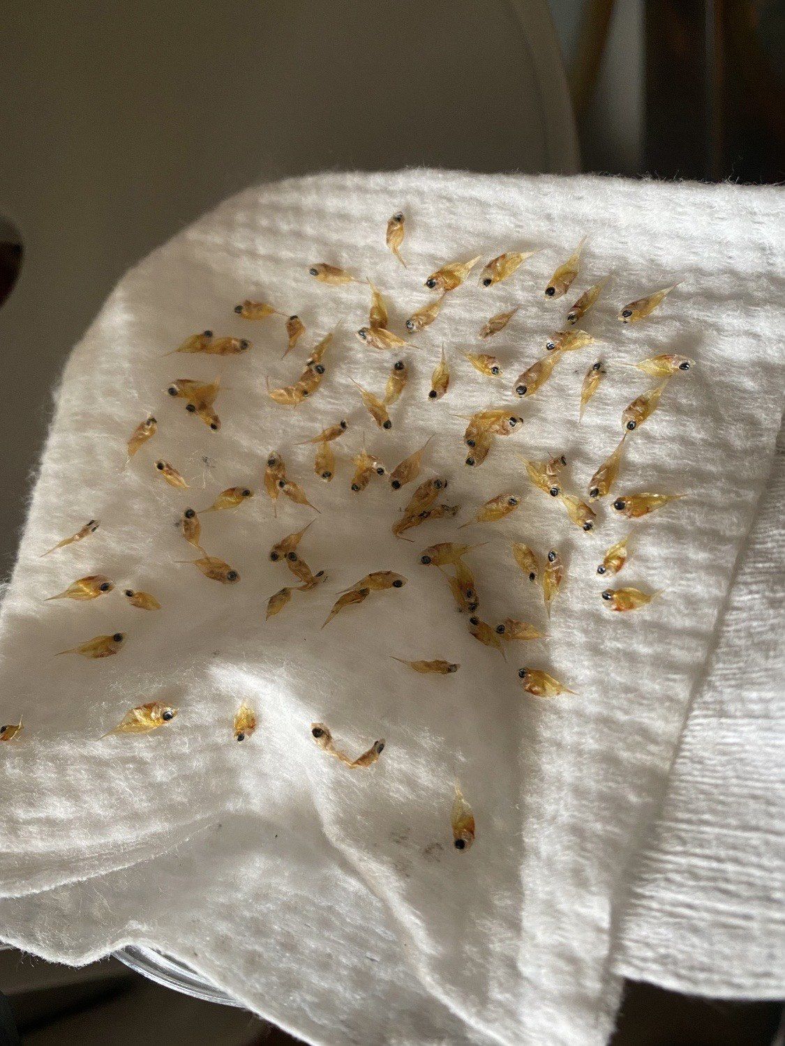 一个假期,团灭了啊家人们,谁懂啊