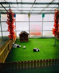 -萌宠亲子动物乐园(槐房万达店)