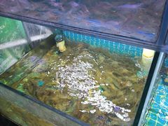 -面道赞宁海海鲜面(迎凤街店)