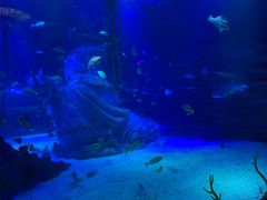 -沈阳海洋探索中心