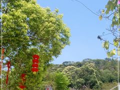 -广州白江湖森林公园