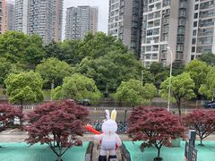 -大拙里·精致融合菜(沙湖桃源国际店)