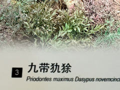 -浙江自然博物院(杭州馆)