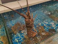 -明州小宴(文化广场店)