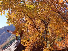 -京东石林峡风景区