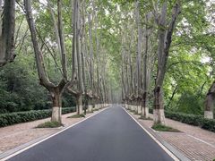 -灵谷景区