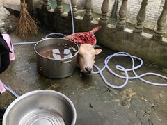 -颜氏牛肉馆