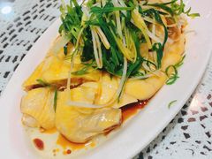 -熠盛粤味·顺德桑拿鸡(永康路店)