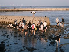 -南汇嘴观海公园