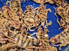 -三亚火车头万人海鲜广场