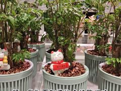 -KKV(深圳宏发大仟里店)