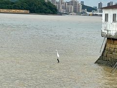 -威远炮台
