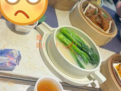-点都德·毕德寮