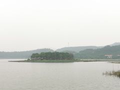 -美的鹭湖森林度假区