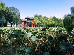 -四川大学(望江校区)