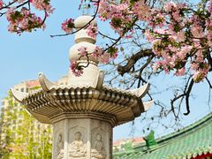 -天津大悲禅院