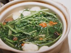 -煲煲好(朝阳门店)
