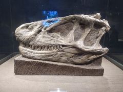 -自贡恐龙博物馆