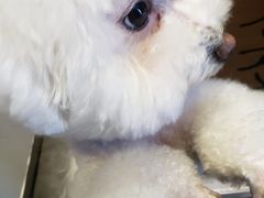 -陈多多·豆腐奶茶(前锋路店)