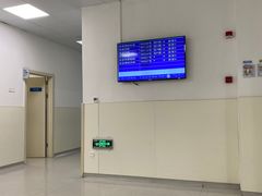 -上海市东方医院(总院)