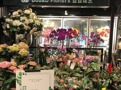 -豆豆花艺(新光天地店)