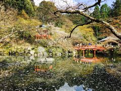 -醍醐寺