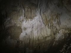 -怀托摩萤火虫洞