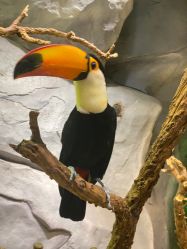 -Zoolung Zoolung动物主题公园(海信广场店)