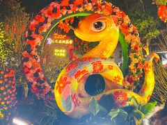 -越秀西湖花市(广州城市广场花卉店)