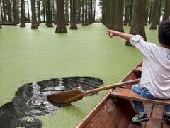 -渌洋湖湿地公园