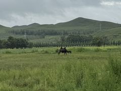 -石条山