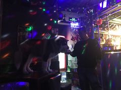 -来吧0519民谣酒吧