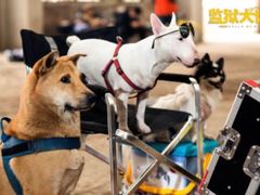 -汇金缪斯影城(八佰伴店)