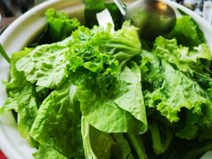 -马帮菜馆·美味野生菌