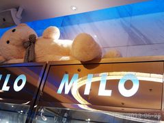 这熊睡的好高-Miohca缪卡KTV(和平店)