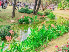 -人民公园(罗湖区)