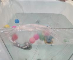 -恒悦贝贝月子会所(海珠店)