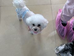 -喵宠乐园·撸猫互动·猫舍