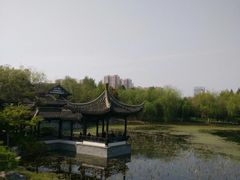 -高子水居