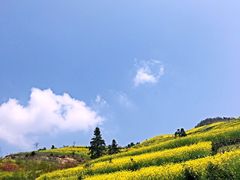 -石潭村