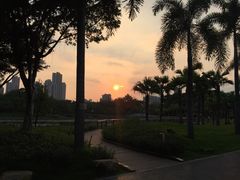 -映月湖公园