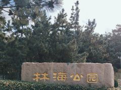 -林海公园