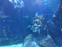 -暹罗海洋世界