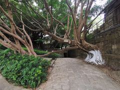 -胡里山炮台